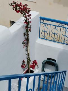 Rooms of Nectar - Poros - 6