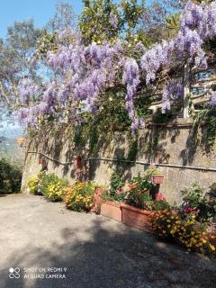 Belvedere di Caiazzo - Caiazzo - 3