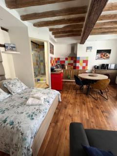 Logement studio avec vue sur le centre Historique - LʼIsle-sur-la-Sorgue - 6