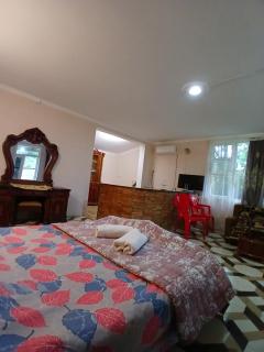 Martvili Canyon Cottage by the River - Martvili - 8