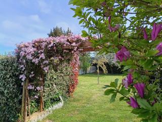 Cottage le petit Tôt - Barneville-Carteret - 8