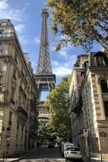 Studio exceptionnel champ de mars - paris 7 - 2p - Parijs - 8