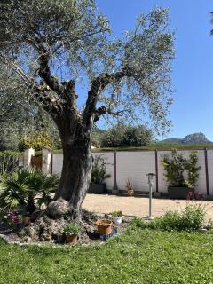 Villa Bibaou - Vence - 2