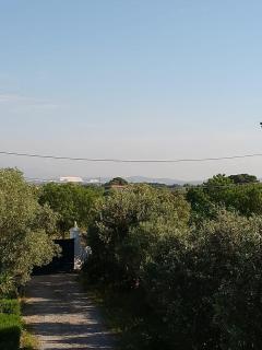 Country Garden House - Markopoulo - 5
