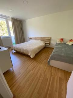 Apartament Lidia - Baile Felix - 9