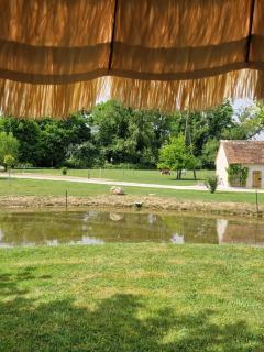 Maison de campagne - Soings-en-Sologne - 5