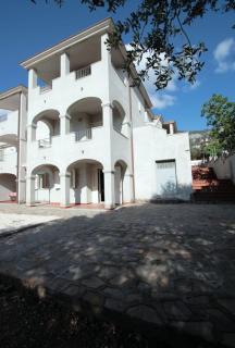 Laurus - 7