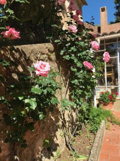 Large house in Cotignac Bastide Saint-Martin - Cotignac - 8