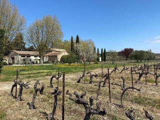 Petite maison en Drôme provençale - Tulette - 9