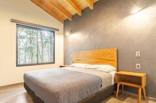 Cabaña de Lujo Para 4 Personas Dentro del Bosque - Mazamitla - 6
