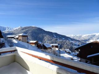 Résidence Presles - Bel appartement 3 pièces 7 personnes à Vallandry dans un quartier calme et proche des pistes MAE-2013 - Peisey-Nancroix - 8