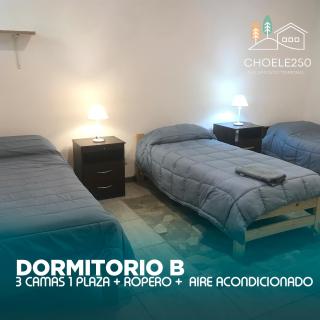 Lindo, comodo, completo, con estacionamiento cerrado, excelente ubicacion - Choele Choel - 1