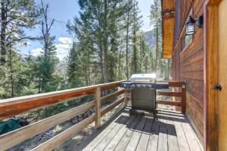 Steps to Crystal River Hideaway with Mountain Views - 8
