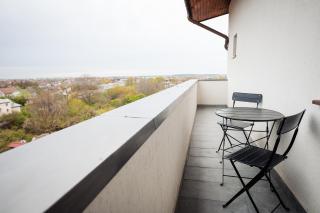 Stay At Georges And Fly - Otopeni - 7