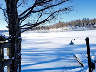 Castaway Cottage on Croton Pond #4 - Newaygo - 4