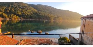 Divina House 2BR 2BA beach access - Broce - 0