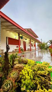 Casa Hotel Boutique Milagros en Jericó Ant - CASA COMPLEA PARA 11 PERSONAS - Tarso - 4