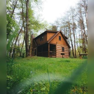 Alpine - by The Chalets - Logan - 9