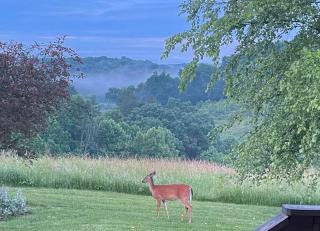 Deer Run - by The Chalets - Logan - 7