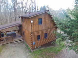 Pioneer - by The Chalets - 7