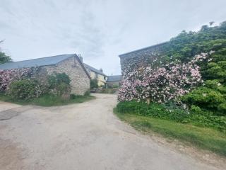 Rural Historic Farmhouse - A Peaceful Escape - West Down - 6
