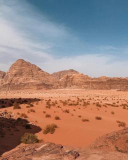 Talal Rum Luxury Camp - 3