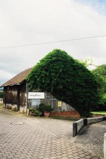 Moderne Ferienwohnung auf dem Weingut - Monzingen - 7