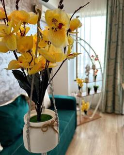 Summer Clubs Apartments - Mamaia - 7