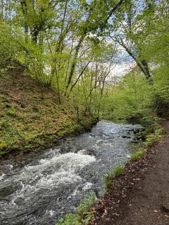 Home in Matlock Bath - Matlock Bank - 6