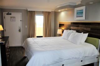 One bedroom ocean front unit - CV 1138 - Myrtle Beach - 3