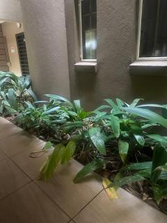 Bytes - Waterberry Mbombela - 5