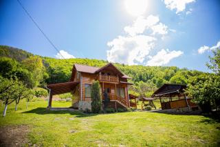 Casa de Vacanta Hanes - Pianu de Sus - 0