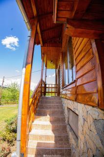 Casa de Vacanta Hanes - Pianu de Sus - 7