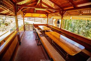 Casa de Vacanta Hanes - Pianu de Sus - 8