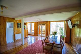 Casa de Vacanta Hanes - Pianu de Sus - 6