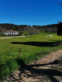 Casa Las Vacas, Aracena - Aracena - 4