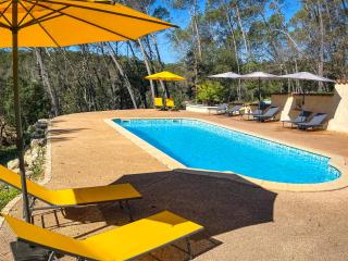 Villa Saint Louis - Lorgues - 0