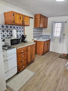 Castaways Cottage on Croton Pond #5 - Newaygo - 7