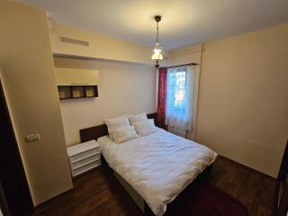 Ignat - Arad - 9