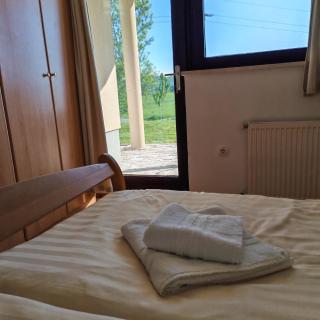 Stars Apartments in nature - Postumia - 1