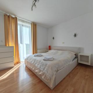 Stars Apartments in nature - Postumia - 6
