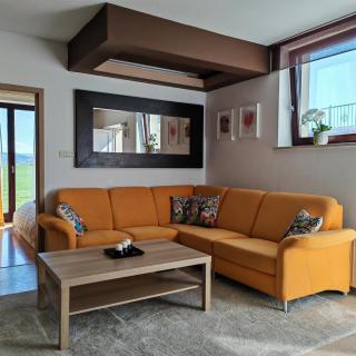 Stars Apartments in nature - Postumia - 9