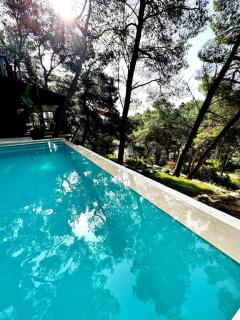Pine Haven Retreat - Grohote - 0