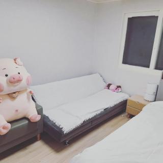 신탄진 - Daejeon - 6