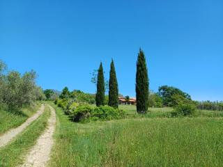 Pietre Focaie - Montemassi - 6