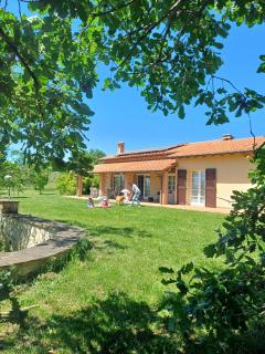 Pietre Focaie - Montemassi - 0