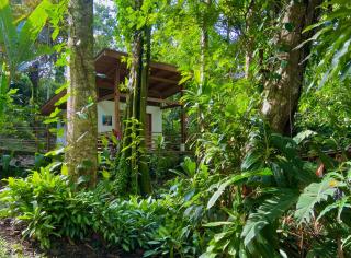 Satta Lodge - Puerto Viejo - 5