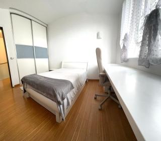 Triplex with garden and parking - Belgrado - 4