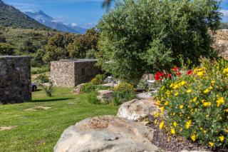 Les Bergeries du Domaine de Pinelli - Belgodère - 4