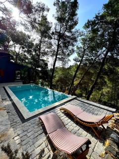 Pine Haven Retreat - Grohote - 9